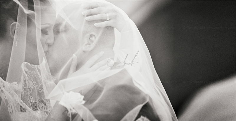 Monochromatic closeup of a wedding couple kissing under the bride's veil